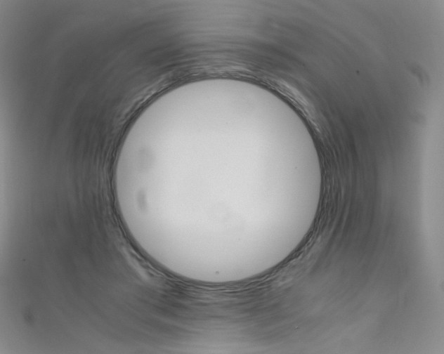 X0000111660405200907171123