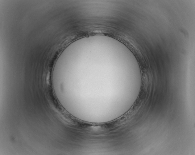 X0000111660406200907171123