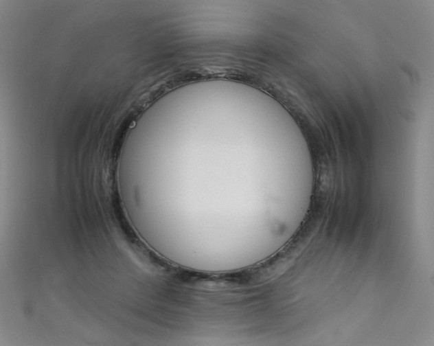 X0000111660408200907171123