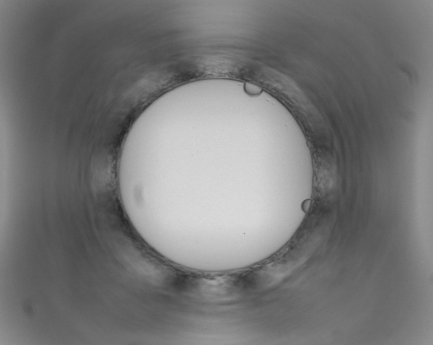 X0000111660411200907171123