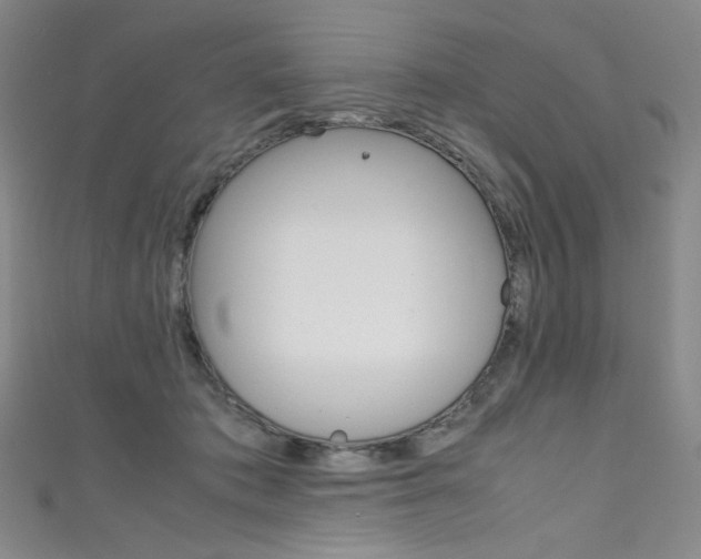 X0000111660413200907171123