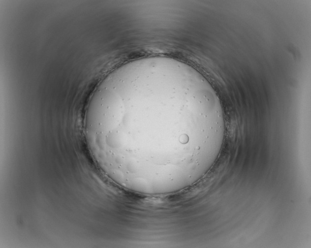X0000111660418200907171123