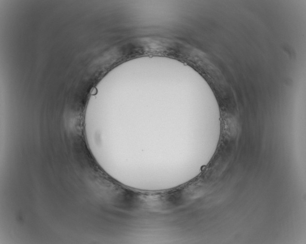 X0000111660419200907171123