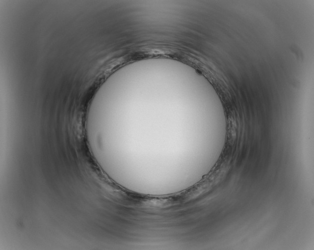 X0000111660422200907171123