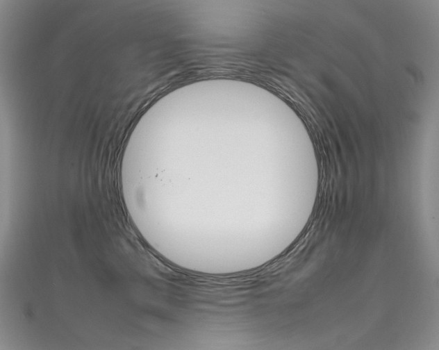 X0000111660425200907171123