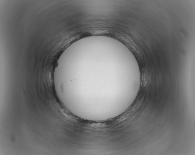 X0000111660426200907171123