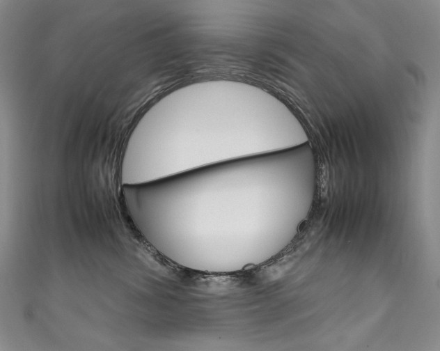 X0000111660428200907171123