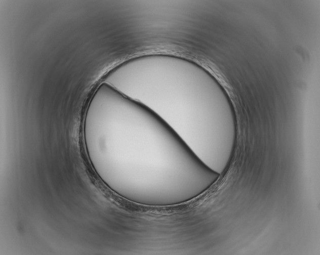 X0000111660434200907171123