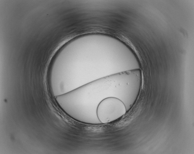 X0000111660435200907171123