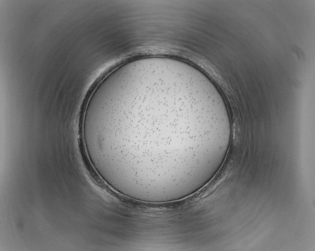 X0000111660438200907171123