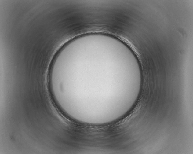 X0000111660439200907171123