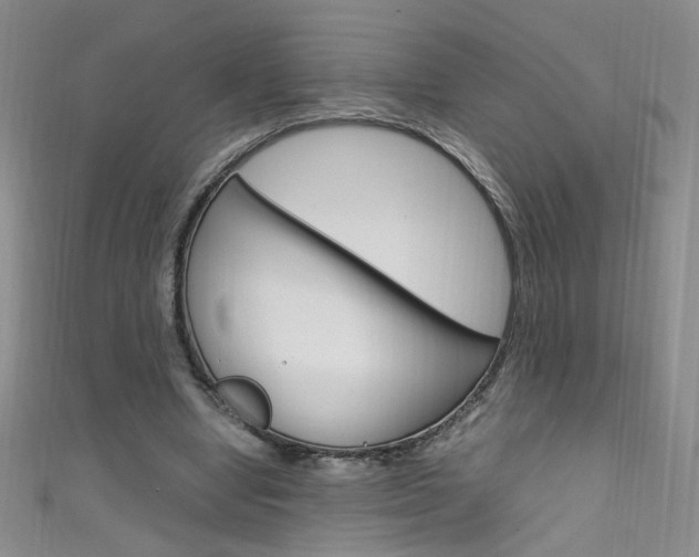 X0000111660442200907171123