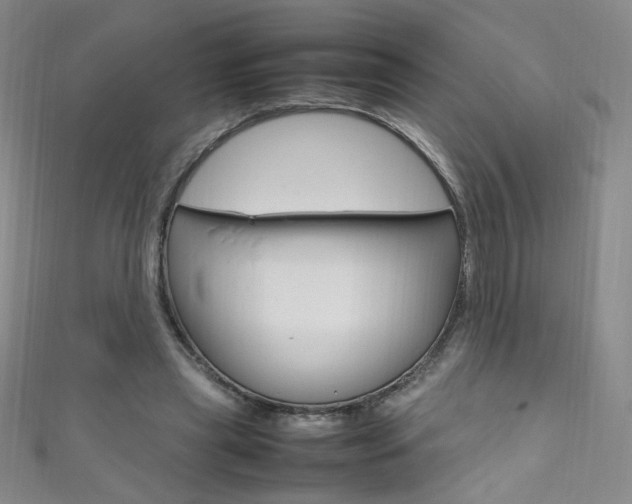 X0000111660445200907171123