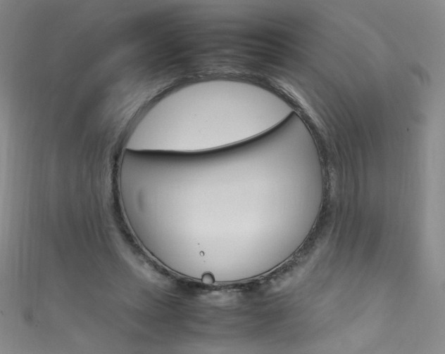 X0000111660447200907171123
