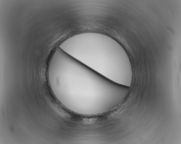 X0000111660450200907171123