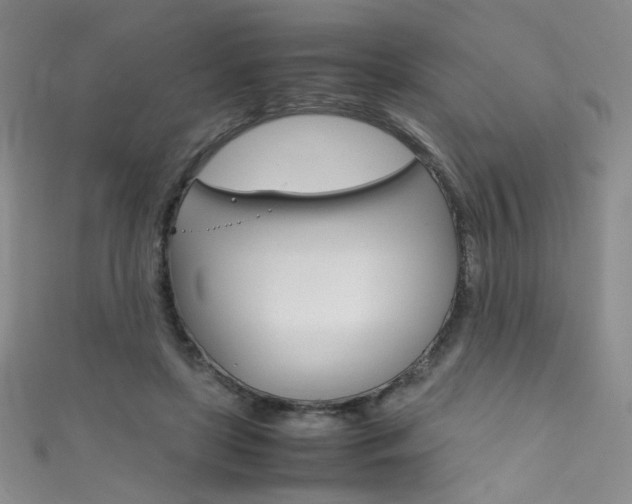 X0000111660451200907171123