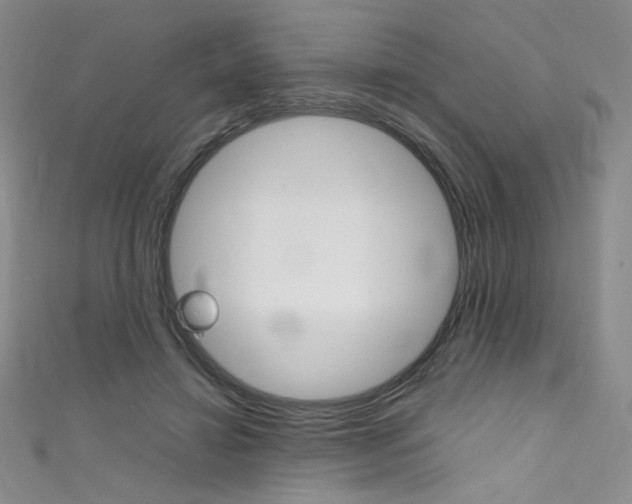 X0000111660452200907171123
