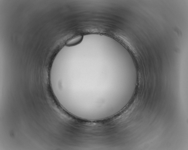 X0000111660453200907171123