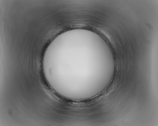 X0000111660455200907171123