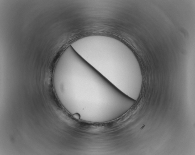 X0000111660458200907171123
