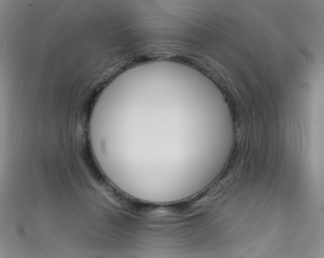 X0000111660460200907171123