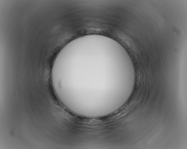 X0000111660463200907171123