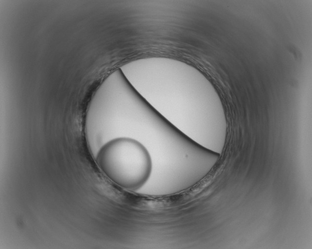 X0000111660466200907171123
