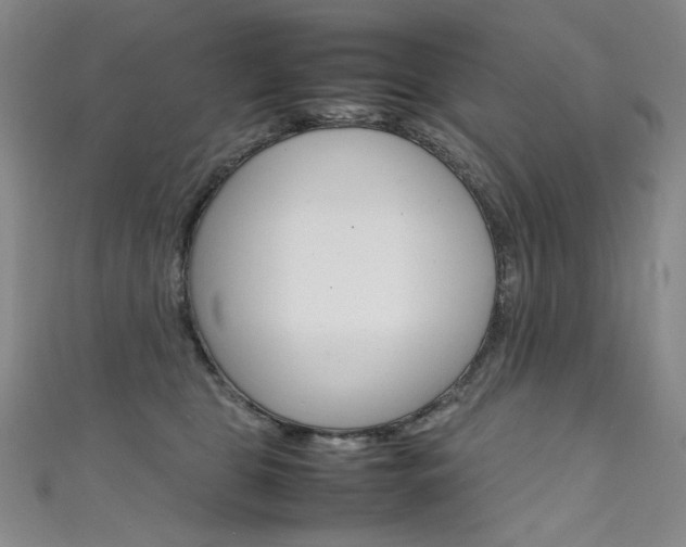 X0000111660469200907171123