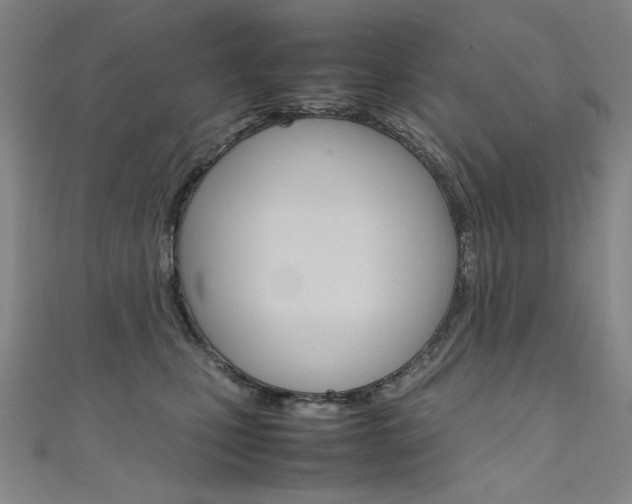 X0000111660471200907171123