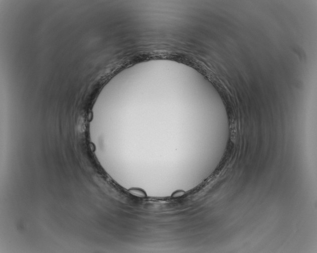X0000111660472200907171123