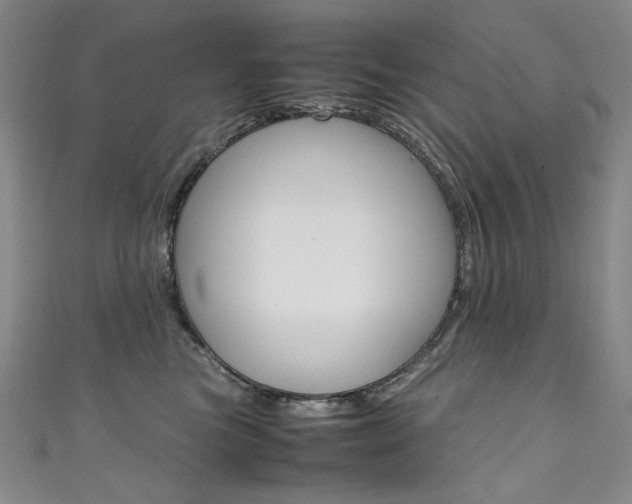 X0000111660473200907171123
