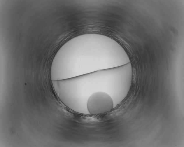 X0000111660475200907171123