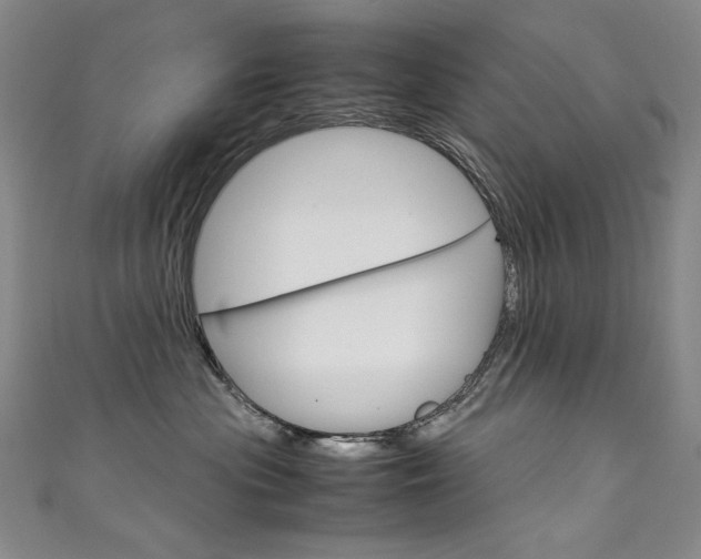 X0000111660477200907171123