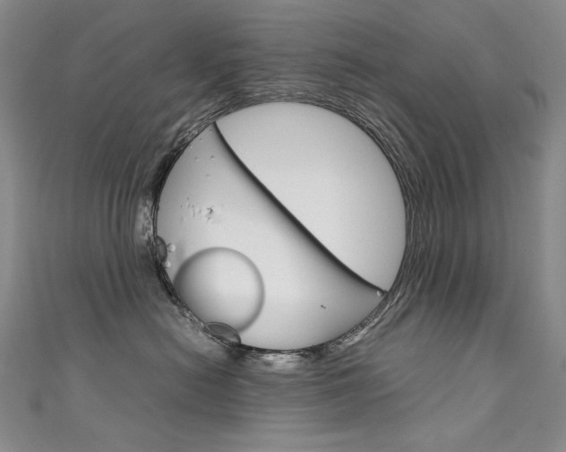 X0000111660478200907171123