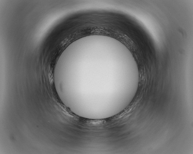 X0000111660479200907171123
