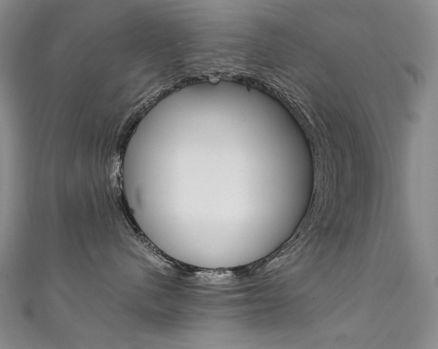 X0000111660480200907171123