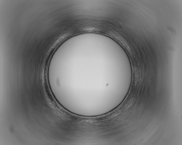 X0000111660482200907171122