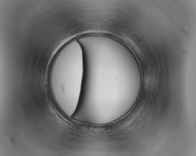X0000111660484200907171122