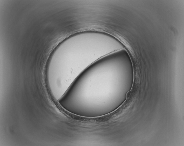 X0000111660485200907171122