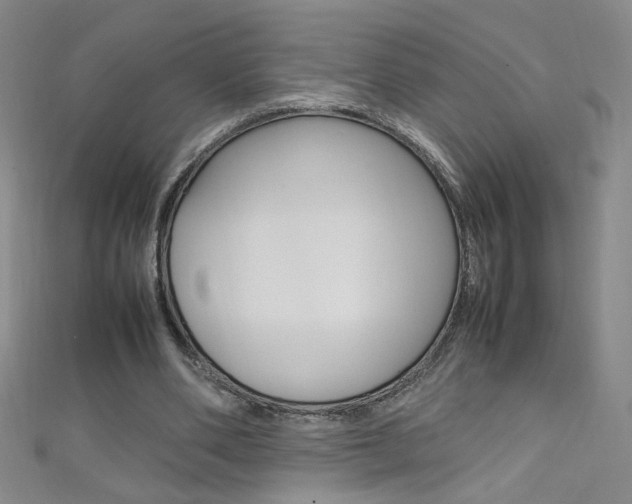 X0000111660486200907171122