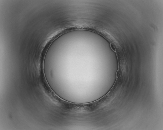X0000111660488200907171122