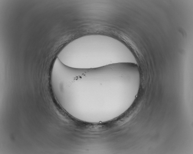X0000111660497200907171122