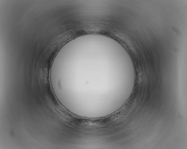X0000111660498200907171122