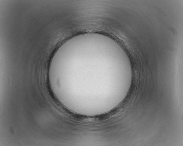X0000111660499200907171122