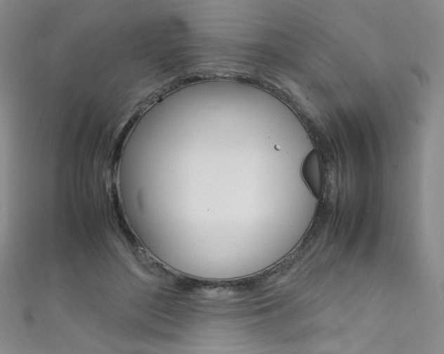 X0000111660500200907171122