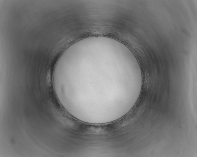 X0000111660502200907171122