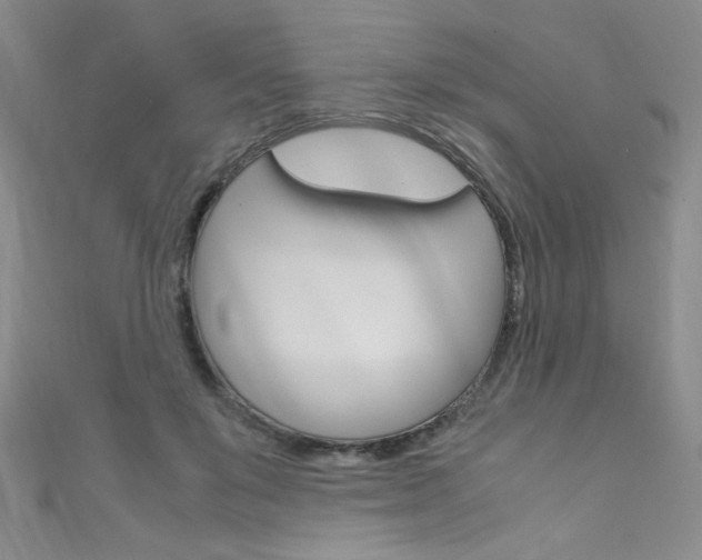 X0000111660503200907171122