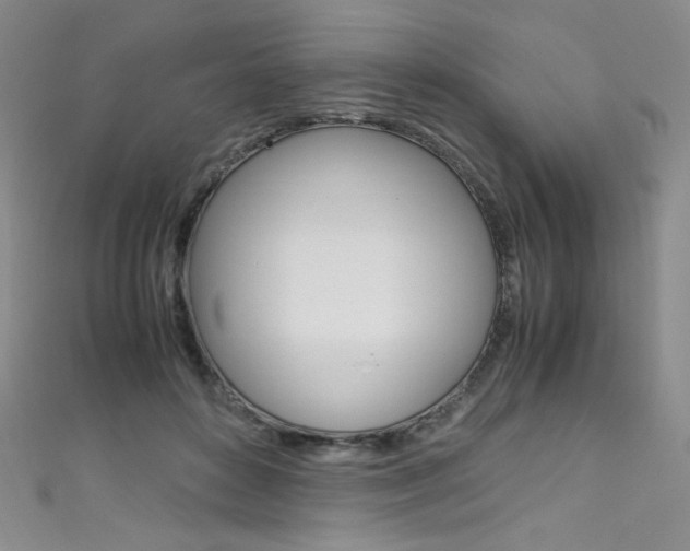 X0000111660504200907171122