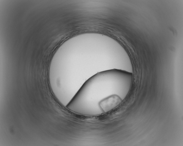 X0000111660505200907171122