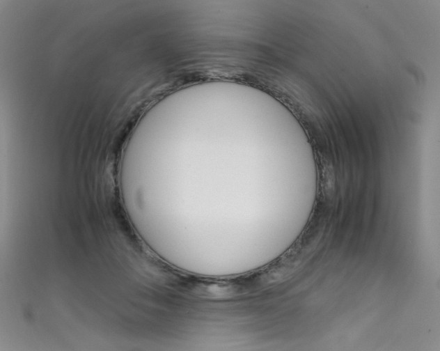 X0000111660506200907171122